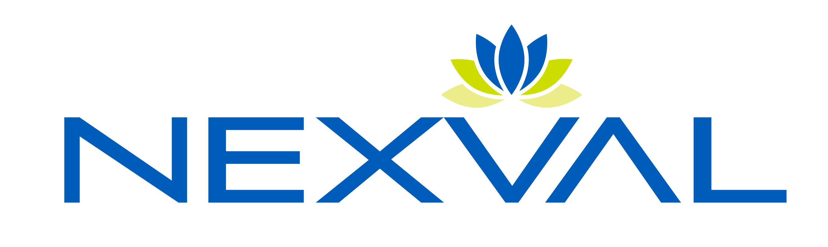 Nexval Footer Logo